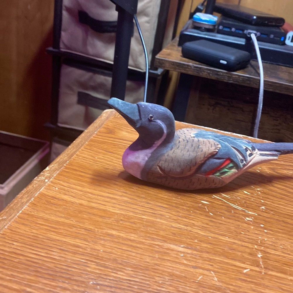 duck